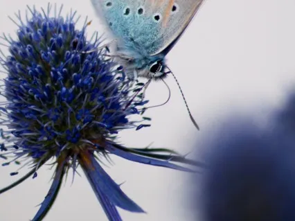 Inner Strength Meditation -empowered From The Inside Out