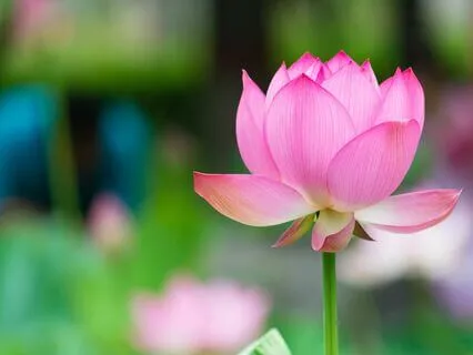 Inner Strength & Resilience Affirmations