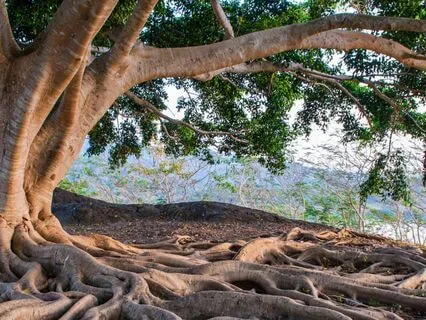 Inner Strength Visualization: Face Challenges Confidently