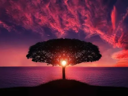 Inner Sun Meditation For Grounding & Energy Centering