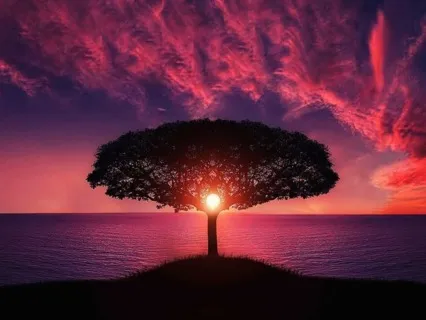 Inner Sun Soundscape