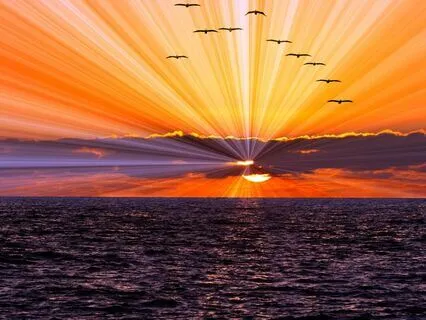 Inner Sunset Serenade: crystal singing bowls and ocean waves