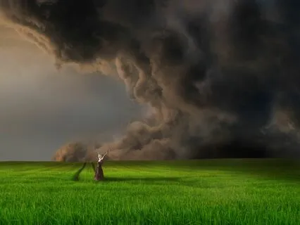 Inner Surrender, Outer Action: Feel The Ultra Power Combo