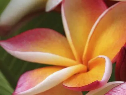 Inner Temple – A Journey To Yourself