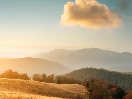 Inner Tranquility: Discover True Calm