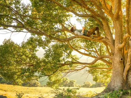 Inner Trust & Grounding 