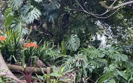 Inner Universe Exploration