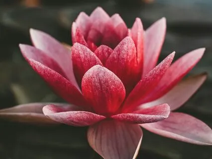 Inner Vision | 528 Hz | Manifest Healing And Positive Change