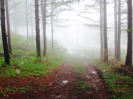 Inner Voice (Feat. Sofiya Turin)