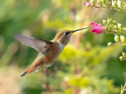 Inner Wealth Meditation