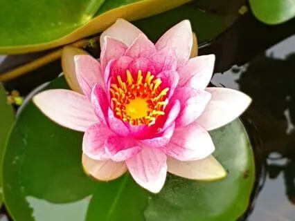 Inner Wealth Meditation