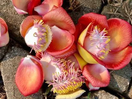 Inner Weather: A Meditation On Feeling