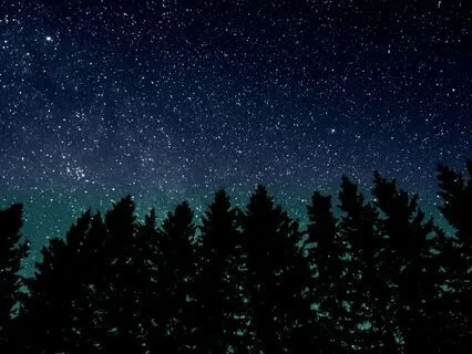 Inner Wilderness | Ambient Music For Anxiety Relief