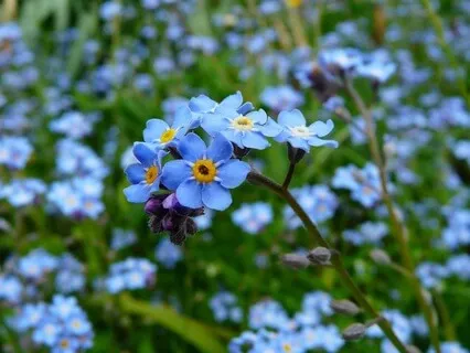 Inner Wisdom And Self Care - May 04