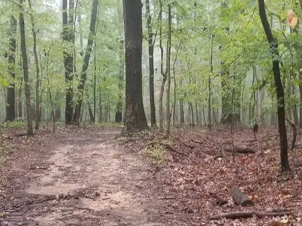 Inner Wisdom Circle: Expansion, Gratitude & Connectedness