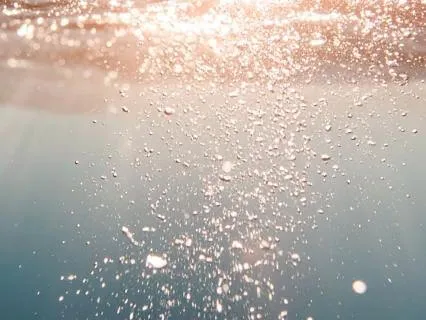 Inner Wisdom: Listening To Your Own Voice