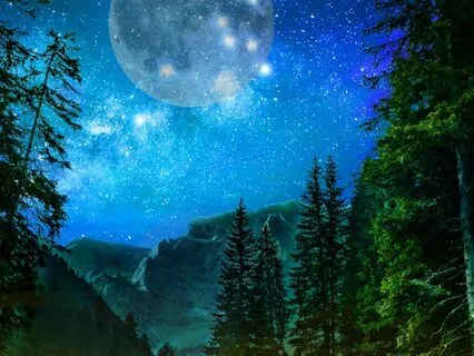 Inner Wisdom Meditation