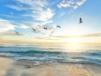 Innerlijke Vrede - Helende Piano Muziek