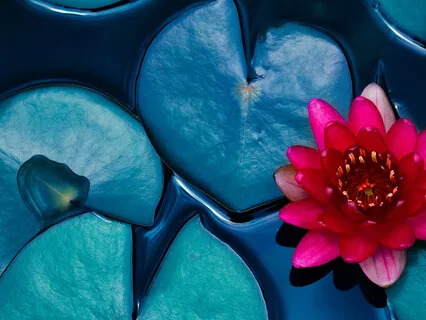 Innermissions - Body Scan