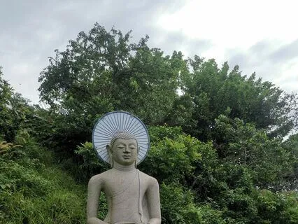 Innerscape Shift For Chronic Sciatica/ Arthritis/ Fatigue