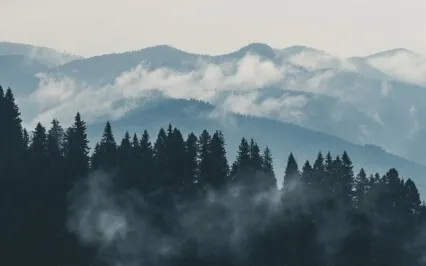 Inquire Into The Self, The Conditioning To Understand Truly