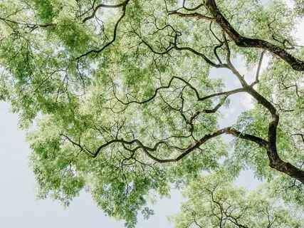 Inquiry Meditation 'I Am...'