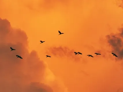 Release The Energy Of Others