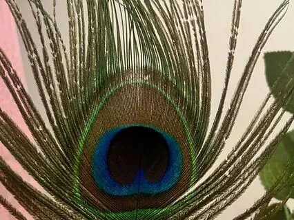 Inquiry-Neti-Neti Meditation