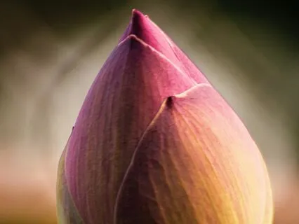 Inre Kraft Och Självkärlek