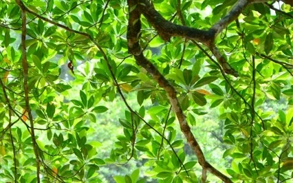 Inside Out Relationships