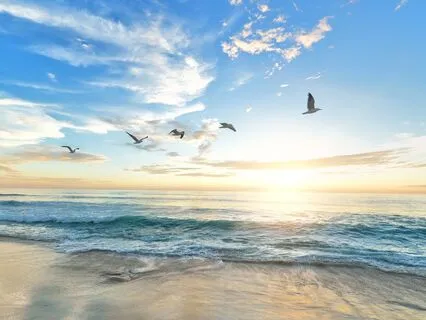 Inside Out Transformation