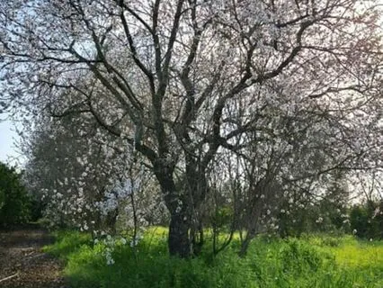Inside The Fabric Of Your House (Body-Scan)