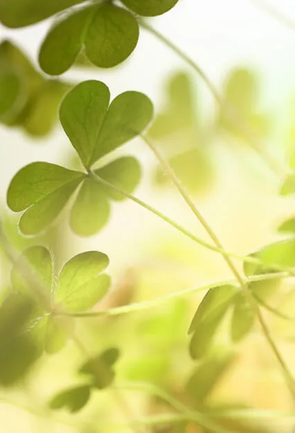 Inside Your Weakness Is Your Hidden Strength