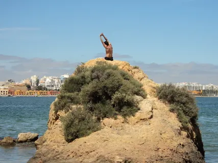 Insight About Insights 