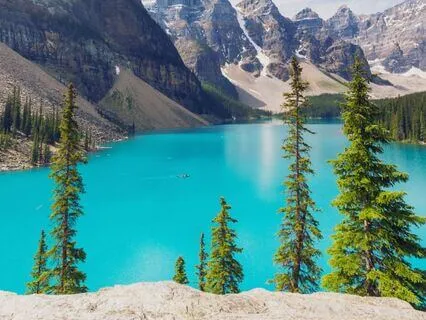 Insight And Farsight