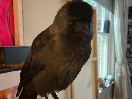 Insight Happens Even In The Worst Moments.