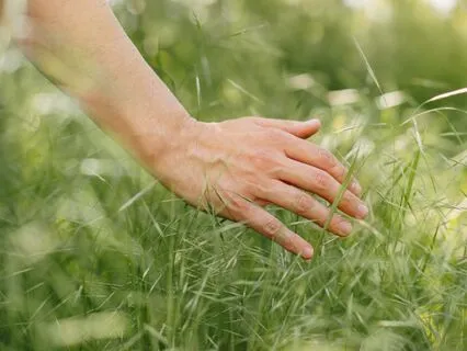 Balance Psychotherapy: Insight In A Difficult Situation