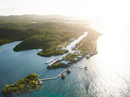 Insight - Labelling Practice