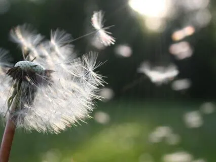 Insight Meditation: Freedom In The Space Between