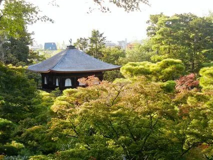 Insight Meditation Music