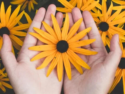 Insight On Innocence And Love