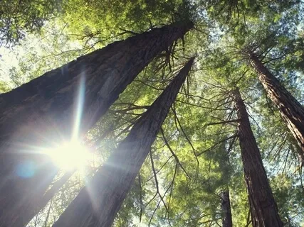 Insight Shows Up Unexpectedly