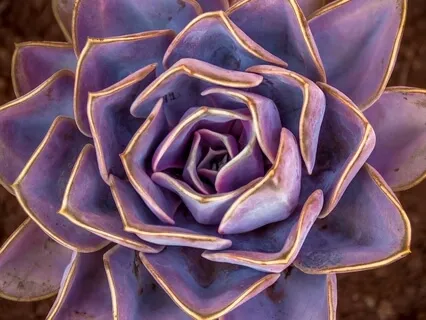 Insight Talk: Are You Giving Away Your Power?