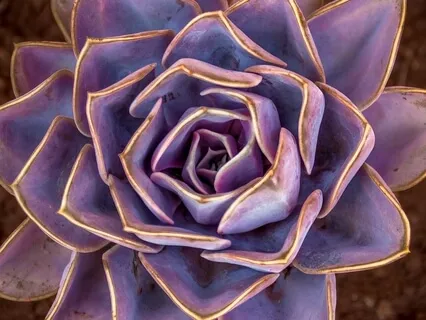 Insight Talk: Relieve Subconscious Stress