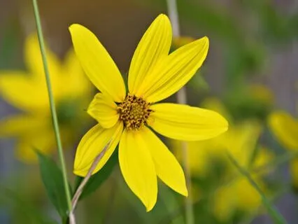 Insight Timer Live Channeled Message – August 14, 2024