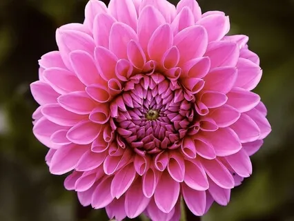 Insight Timer Live: "Finding Theta" Sound Bath 