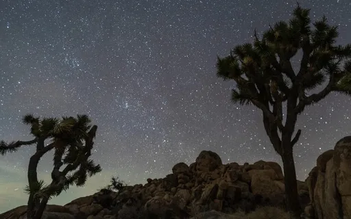 Insomnia & Mindfulness Guided Sleep Meditation