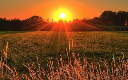 Insomnia Music - Relaxing Music - Sleep Meditation - Calming