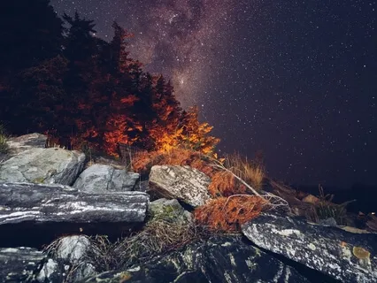 Insomnia Relief [Fall Asleep Fast] Binaural Sleep Music