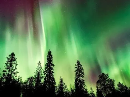 Insomnia Relief Symphony: Fast Track to Deep Sleep